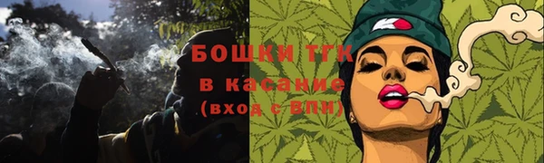винт Горняк