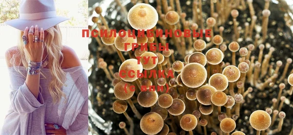 винт Горняк
