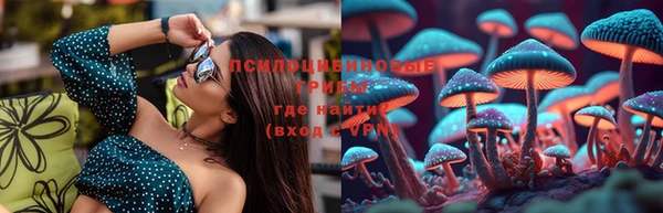 винт Горняк