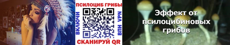 Псилоцибиновые грибы ЛСД  Купить  Нытва 